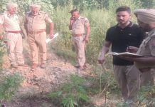 ਹੁਸ਼ਿਆਰਪੁਰ ‘ਚ ਲੜਕੀ ਦਾ ਕਤਲ, ਸੜਕ ਕਿਨਾਰੇ ਖੂਨ ਨਾਲ ਲੱਥਪੱਥ ਮਿਲੀ ਲਾਸ਼