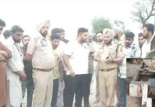 ਸੰਗਰੂਰ ‘ਚ 18 ਮੱਝਾਂ ਦੀ ਮੌਤ: 14 ਦੀ ਹਾਲਤ ਨਾਜ਼ੁਕ, ਟਿਊਬਵੈੱਲ ਦਾ ਪਾਣੀ ਪੀਣ ਕਾਰਨ ਹੋਇਆ ਹਾਦਸਾ