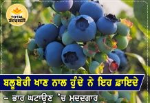Health Tips