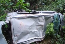 ਸ਼ਿਮਲਾ ‘ਚ 500 ਮੀਟਰ ਡੂੰਘੀ ਖਾਈ ‘ਚ ਡਿੱਗੀ ਕਾਰ, ਵਿਅਕਤੀ ਦੀ ਮੌਤ