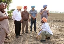 ਪੀ.ਏ.ਯੂ. ਦੇ ਵਾਈਸ ਚਾਂਸਲਰ ਨੇ ਉੱਚ ਪੱਧਰੀ ਟੀਮ ਨਾਲ ਝੋਨੇ ਦੀ ਸਿੱਧੀ ਬਿਜਾਈ ਦਾ ਜਾਇਜ਼ਾ ਲਿਆ