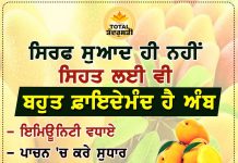 Health Tips