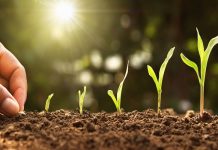 ਅੰਮ੍ਰਿਤਸਰ ਵਿਖੇ 14 ਜੂਨ ਨੂੰ ਲੱਗੇਗਾ ਜਿਲ੍ਹਾ ਪੱਧਰ ਦਾ ਕਿਸਾਨ ਸਿਖਲਾਈ ਕੈਂਪ; ਕੈਬਨਿਟ ਮੰਤਰੀ ਕੁਲਦੀਪ ਧਾਲੀਵਾਲ ਮੁੱਖ ਮਹਿਮਾਨ ਵਜੋਂ ਹੋਣਗੇ ਸ਼ਾਮਲ