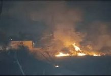 ਜਲੰਧਰ ‘ਚ NRI ਦੇ ਪਲਾਟ ਨੂੰ ਲੱਗੀ ਅੱਗ, 100 ਤੋਂ ਵੱਧ ਦਰੱਖਤ ਸੜ ਕੇ ਹੋਏ ਸੁਆਹ