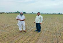 ਝੋਨੇ ਦੀ ਸਿੱਧੀ ਬਿਜਾਈ ਵਿੱਚ ਫਾਜ਼ਿਲਕਾ ਜ਼ਿਲ੍ਹਾ ਪੂਰੇ ਪੰਜਾਬ ‘ਚ ਮੋਹਰੀ