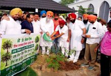 ਸਪੀਕਰ ਸੰਧਵਾਂ ਵਲੋਂ ਰੁੱਖ ਲਾਉਣ ਦੀ ਮੁਹਿੰਮ ਦੀ ਸ਼ੁਰੂਆਤ; ਕਿਹਾ- ਪਿੰਡਾਂ ਦੀਆਂ ਪੰਚਾਇਤਾਂ, ਸੰਸਥਾਵਾਂ, ਕਲੱਬਾਂ ਅਤੇ ਜਥੇਬੰਦੀਆਂ ਜਰੂਰ ਕਰਨ ਵਾਤਾਵਰਣ ਦੀ ਸੰਭਾਲ