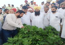 ਖੇਤੀ ਮੰਤਰੀ ਗੁਰਮੀਤ ਸਿੰਘ ਖੁੱਡੀਆਂ ਦਾ ਦੂਜੇ ਦਿਨ ਵੀ ਨਰਮਾ ਪੱਟੀ ਦਾ ਦੌਰਾ ਜਾਰੀ