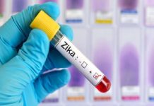 ਪੁਣੇ ‘ਚ Zika ਵਾਇਰਸ ਦੇ ਵਧੇ ਮਾਮਲੇ; 2 ਗਰਭਵਤੀ ਔਰਤਾਂ ਵੀ ਆਈਆਂ ਚਪੇਟ ‘ਚ