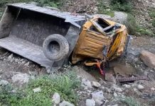 ਹਿਮਾਚਲ ਪ੍ਰਦੇਸ਼: 150 ਮੀਟਰ ਡੂੰਘੀ ਖੱਡ ‘ਚ ਡਿੱਗਿਆ ਟਿੱਪਰ; ਡਰਾਈਵਰ ਦੀ ਮੌਤ