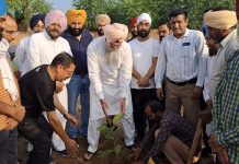 “ਮੈਂ ਤੇ ਮੇਰਾ ਰੁੱਖ” ਮੁਹਿੰਮ ਤਹਿਤ ਸਪੀਕਰ ਸੰਧਵਾਂ ਨੇ ਲਗਾਏ ਬੂਟੇ