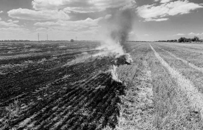 stubble-burning