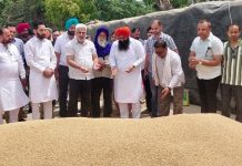 ਪੰਜਾਬ ਦੀਆਂ ਮੰਡੀਆਂ ‘ਚ 28 ਲੱਖ ਮੀਟਰਿਕ ਟਨ ਕਣਕ ਦੀ ਆਮਦ, 24 ਲੱਖ ਮੀਟਰਿਕ ਟਨ ਤੋਂ ਵੱਧ ਦੀ ਖ਼ਰੀਦ : ਲਾਲ ਚੰਦ ਕਟਾਰੂਚੱਕ