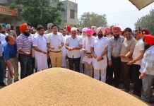 ਪੰਜਾਬ ਸਰਕਾਰ ਕਣਕ ਦੀ ਫ਼ਸਲ ਦਾ ਇੱਕ-ਇੱਕ ਦਾਣਾ ਪੂਰੇ ਭਾਅ ਉੱਪਰ ਖ਼ਰੀਦਣ ਲਈ ਵਚਨਬੱਧ : ਕਟਾਰੂਚੱਕ