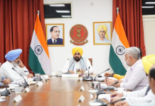ਰੁੱਖ ਕੱਟਣ ‘ਤੇ ਸਖ਼ਤੀ: 50 ਹਜ਼ਾਰ ਦਾ ਜੁਰਮਾਨਾ, ਇਕ ਰੁੱਖ ਬਦਲੇ ਲਗਾਉਣੇ ਪੈਣਗੇ 10 ਬੂਟੇ, ਕੈਬਨਿਟ ਵੱਲੋਂ ਬਿੱਲ ਨੂੰ ਪ੍ਰਵਾਨਗੀ