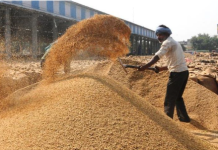 ਕਣਕ ਦੇ MSP ’ਚ 25 ਰੁਪਏ ਦਾ ਵਾਧਾ